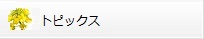 gsbNX